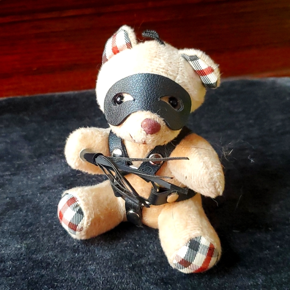 🎭 MASKED BEAR 🎭